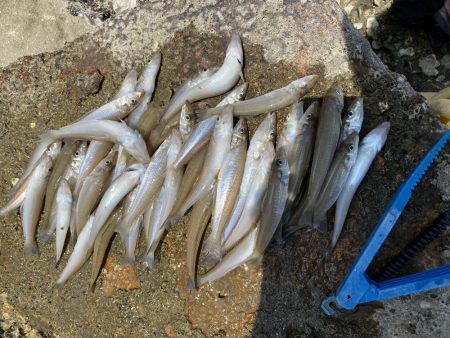 まだまだ続くよキス祭り