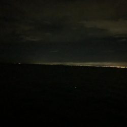 今年初の太刀魚