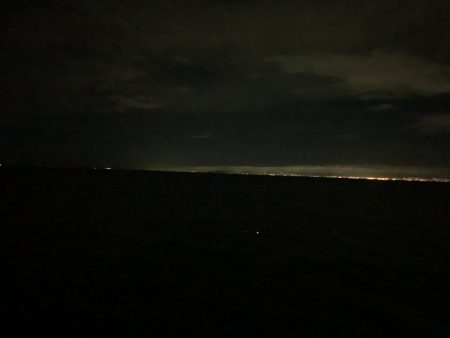 今年初の太刀魚