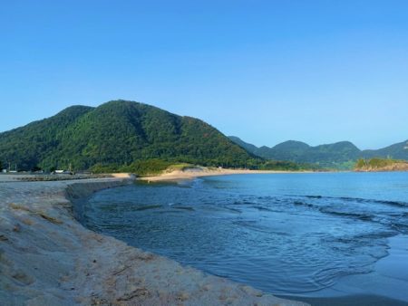 朝からキス狙い