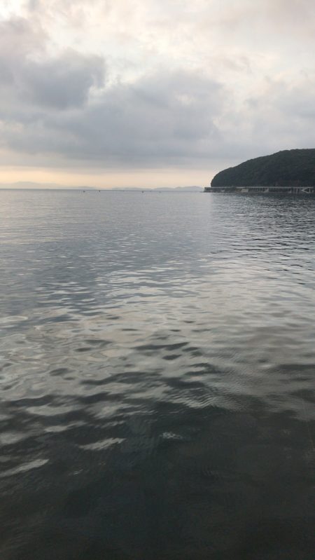 初淡路島で青物！