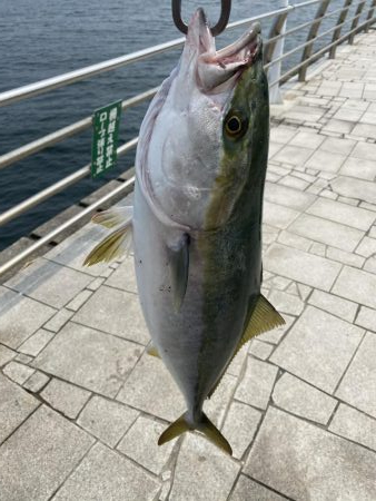 げき渋の中なんとか一本