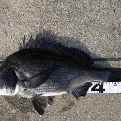 イチノ兄弟、釣果！