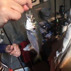 イカ釣り初挑戦