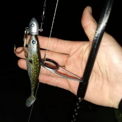 涼しい夜のサーベリング