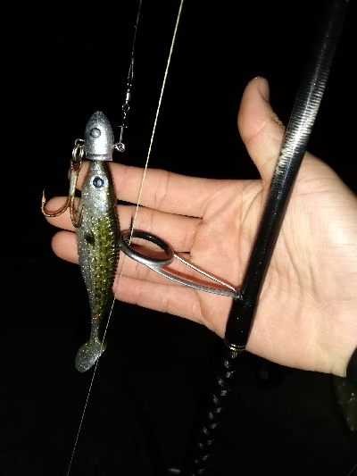 涼しい夜のサーベリング