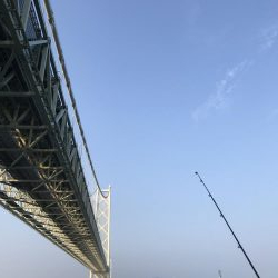 バラティな魚種