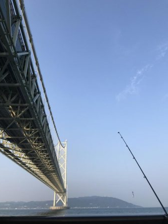 バラティな魚種