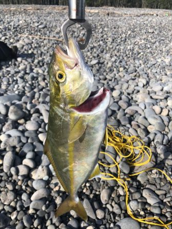 初ジギング粘り勝ち