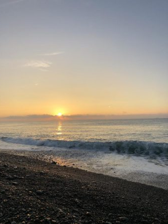 サーフ初青物!やのに写真がー