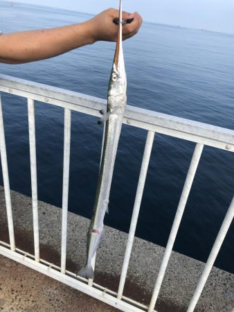 ライトショアジギングで初めての魚種