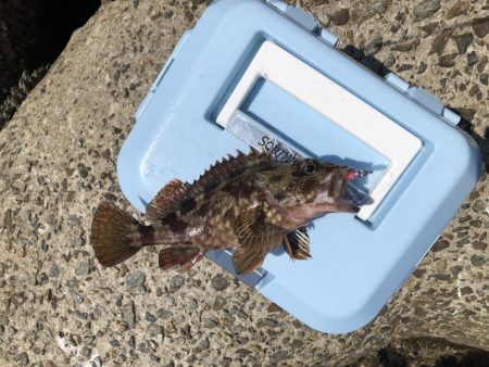 がしらとたけのこ