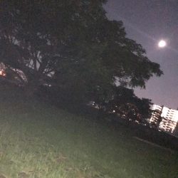 淀川のチニングパート2