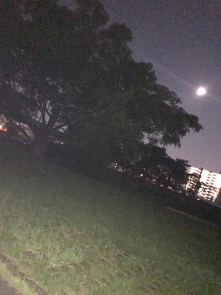 淀川のチニングパート2