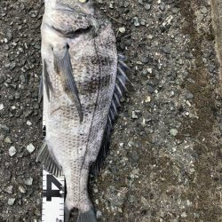 イチノ兄弟、釣果！