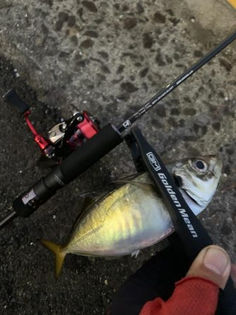 誕生日プレゼント