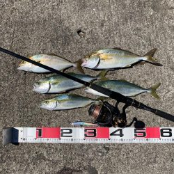 ショアジギング