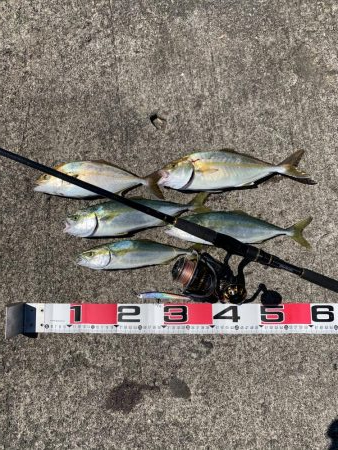 ショアジギング