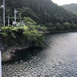 今年も無事釣れました