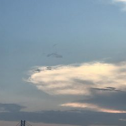 よーやくケンサキ