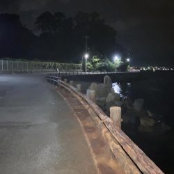 癒されすぎるアジング!