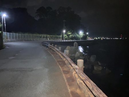 癒されすぎるアジング!