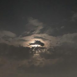 満月のアジング