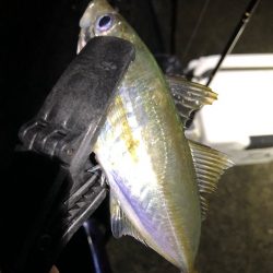 朝マズメアジング