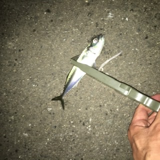 やっちまった(^◇^;)