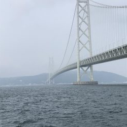 渋いけど魚種多彩?