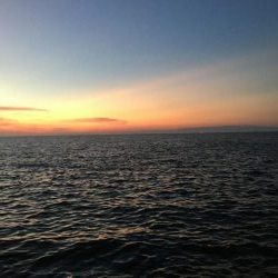 今季初タチウオ