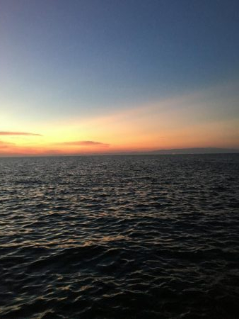 今季初タチウオ