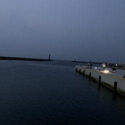 用事のついでに釣り