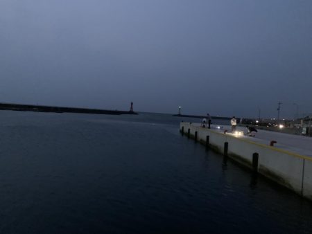 用事のついでに釣り