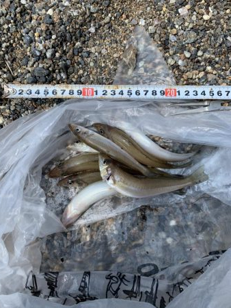 天ぷらが食べたくて