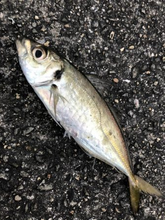 新ダイソーメタルジグ