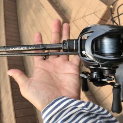 ベイトシーバス入魂