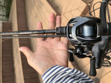 ベイトシーバス入魂