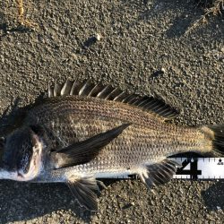 イチノ兄弟、釣果!