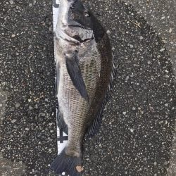 イチノ兄弟、釣果！