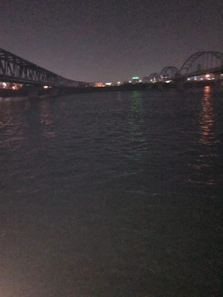 淀川のチニングパート3