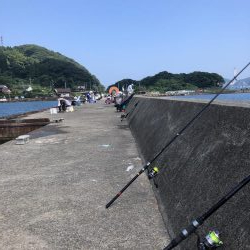 青物はまだまだ