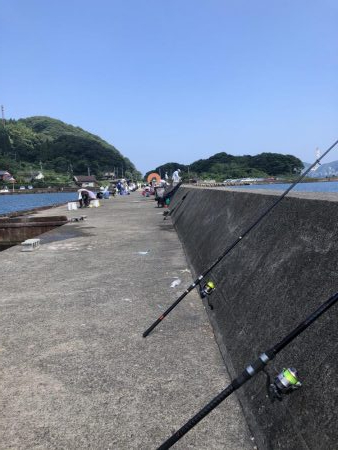 青物はまだまだ