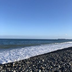 金魚かと思った!