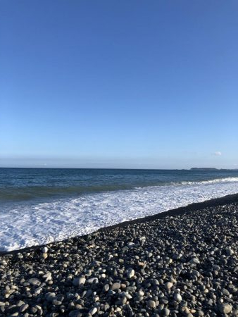 金魚かと思った!