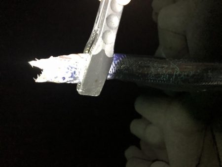 タチウオが安定してきたかな？