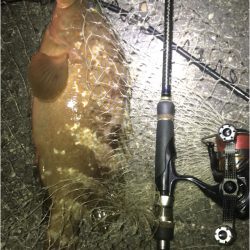 また食べたくなりました