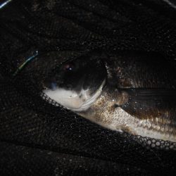 暑いよね～(汗)