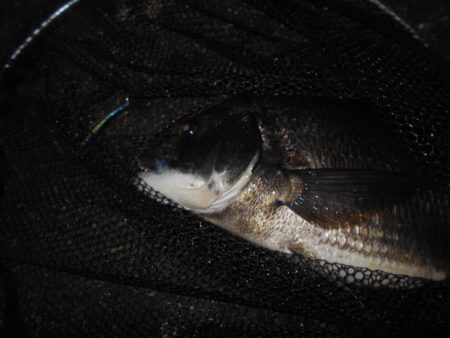 暑いよね～(汗)