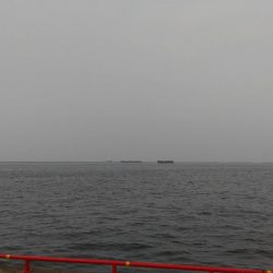 ファミリーフィッシング